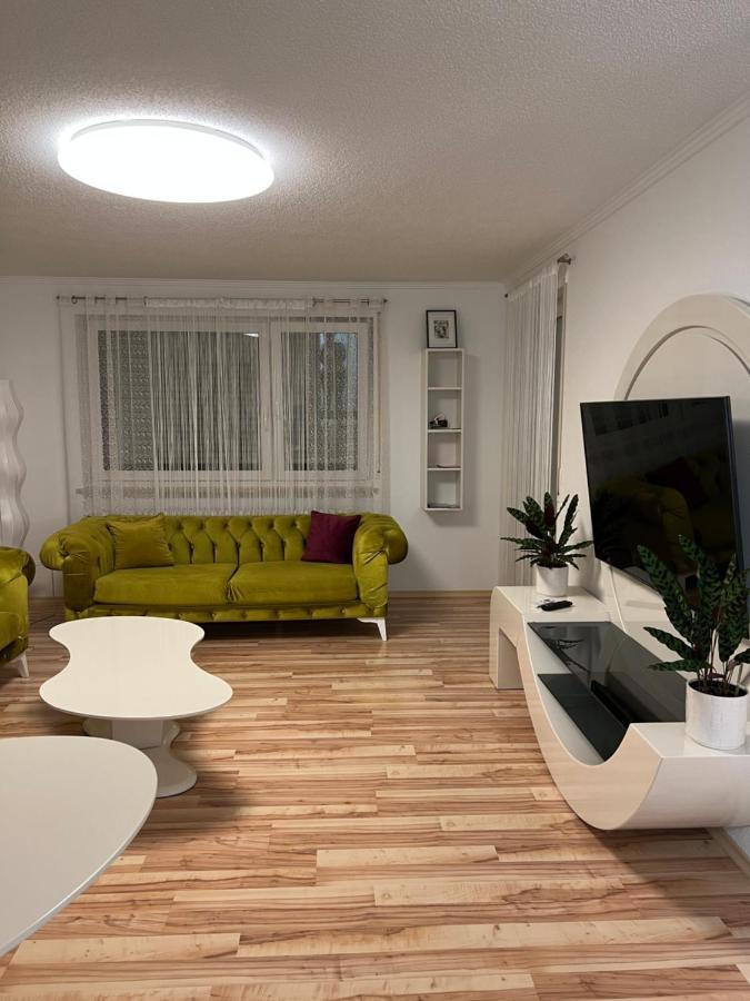 O&V Apartment Waldshut-Tiengen Extérieur photo