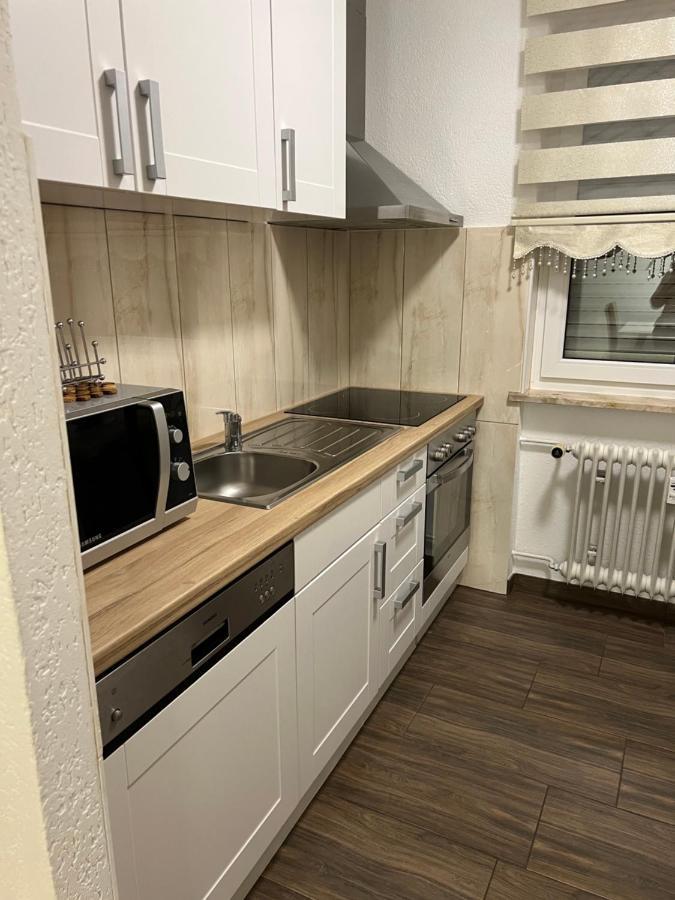 O&V Apartment Waldshut-Tiengen Extérieur photo