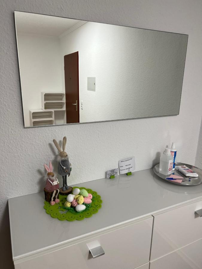 O&V Apartment Waldshut-Tiengen Extérieur photo